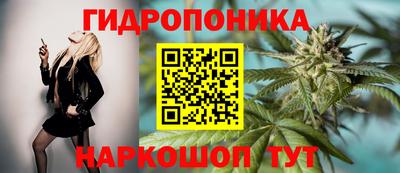 прущие крисы Пыть-Ях