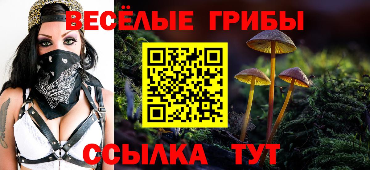 Псилоцибиновые грибы мухоморы Орск